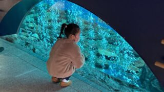 雑記・子育て